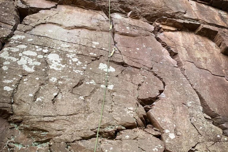 sandbagged - featured image